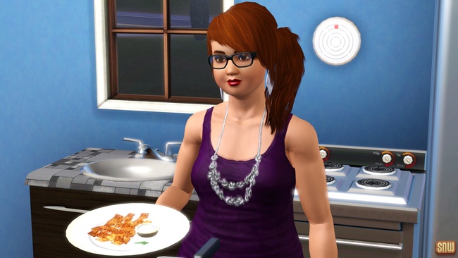 Koning Krokant Pro Friteuse en Vrieshap Pro IJsmachine (premium content voor De Sims 3)