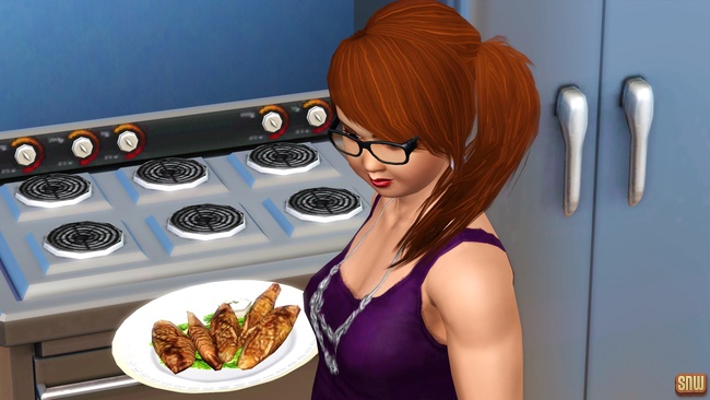 Koning Krokant Pro Friteuse en Vrieshap Pro IJsmachine (premium content voor De Sims 3)