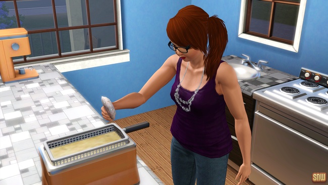 Koning Krokant Pro Friteuse en Vrieshap Pro IJsmachine (premium content voor De Sims 3)