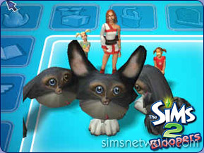 The Sims 2