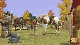 The Sims 3 Pets