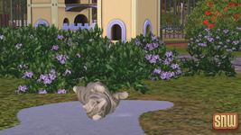 The Sims 3 Pets