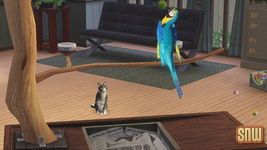 The Sims 3 Pets