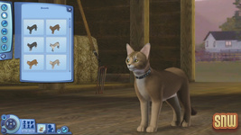 The Sims 3 Pets