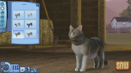 The Sims 3 Pets