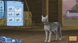 The Sims 3 Pets