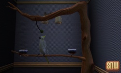 De Sims 3 Beestenbende: Vogels