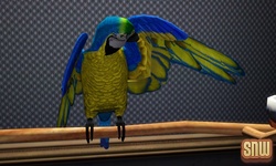 De Sims 3 Beestenbende: Vogels