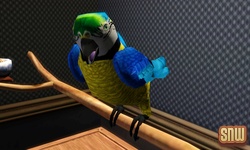 De Sims 3 Beestenbende: Vogels
