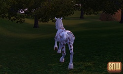 De Sims 3 Beestenbende: GooGoo het paard