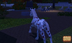 De Sims 3 Beestenbende: GooGoo het paard