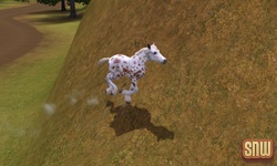 De Sims 3 Beestenbende: GooGoo het paard