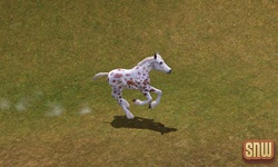 De Sims 3 Beestenbende: GooGoo het paard