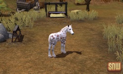 De Sims 3 Beestenbende: GooGoo het paard