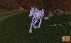 De Sims 3 Beestenbende: GooGoo het paard