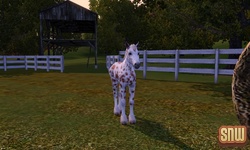 De Sims 3 Beestenbende: GooGoo het paard