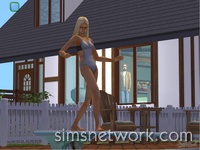 De Sims 2