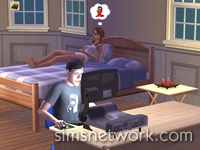 De Sims 2