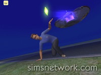 De Sims 2