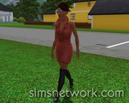 De Sims 3 Hidden Springs