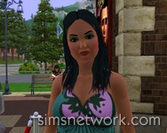 De Sims 3 Hidden Springs