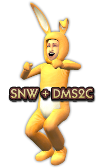 SNW en DMS2C voegen websites samen!